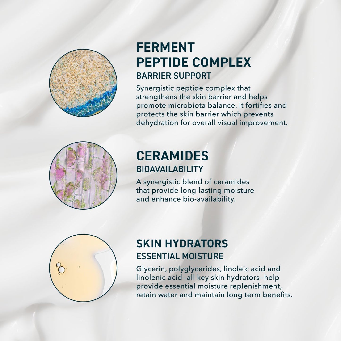 Zermet 1 Skin AM/PM Modern Moisturizer – Hydrating Face Cream with Peptides, Ceramides & Glycerin for Dry, Sensitive, or Combination Skin – Non-Greasy Moisturizer for Barrier Support