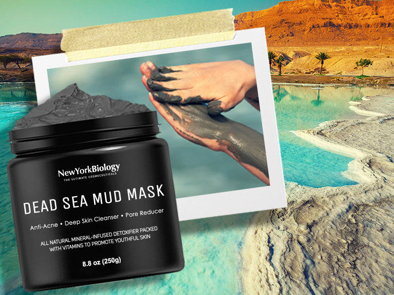 Zermet 1 New York Biology Dead Sea Mud Mask for Face and Body - Spa Quality Pore Reducer for Acne, Blackheads & Oily Skin, Natural Skincare for Women, Men - Tightens Skin for A Healthier Complexion - 8.8 oz